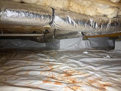 Residential Crawl Space Work