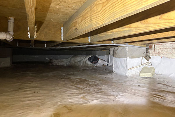 Crawl Space Cleaning Services