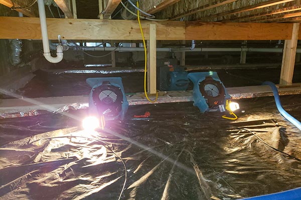Crawl Space Damage Mitigation Services Crawl Space Damage Mitigation Services