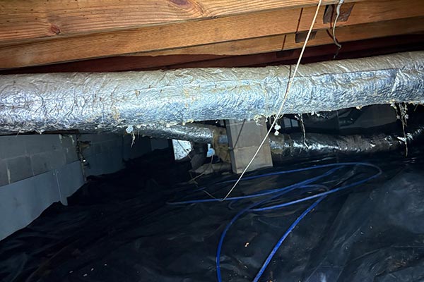 Crawl Space Maintenance Services